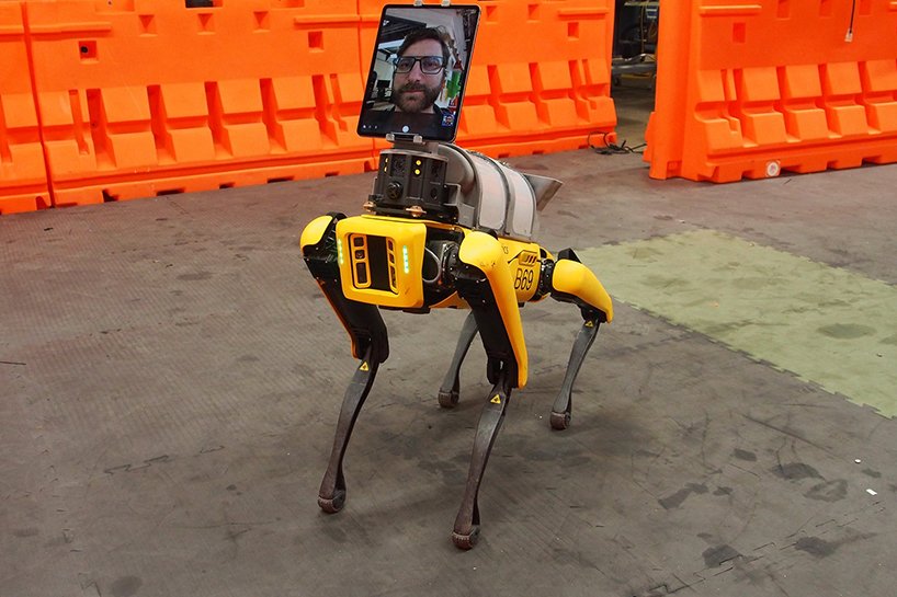 Cão robô que ajuda médicos a tratar pacientes com COVID-19