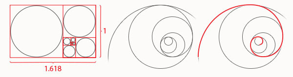 circulos de fibonacci designe
