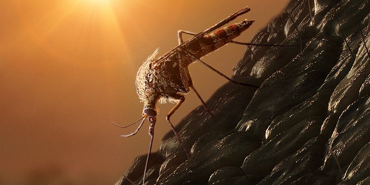 Jurassic World Mosquito do Poster