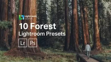 presets para lightroom gratuito para florestas