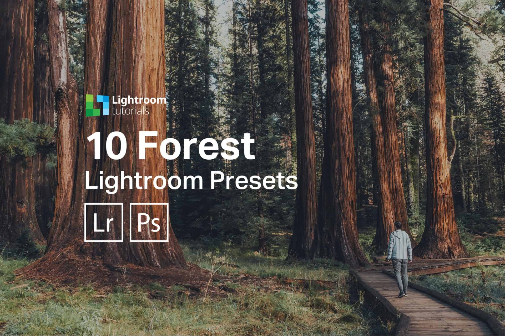 10 Presets para Lightroom grátis: Fotos de Florestas e Paisagens verdes