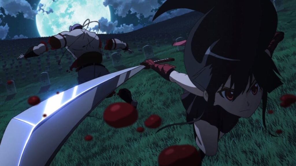 Akame ga Kill luta 32 Melhores animes de luta para assistir