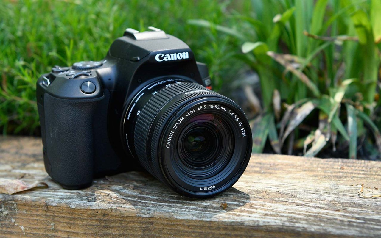 65a54fb7e003a Câmera Canon Eos 250d: Ficha Técnica, Onde Comprar, Preço E Principais Informações