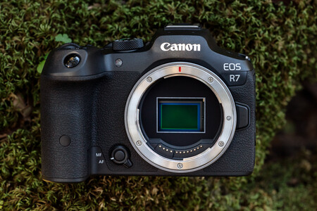 Câmera Canon Eos R: Ficha Técnica, Onde Comprar, Preço E Principais Informações